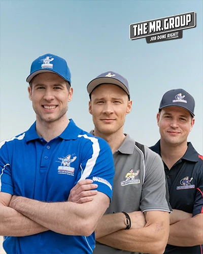 TheMrGroup
